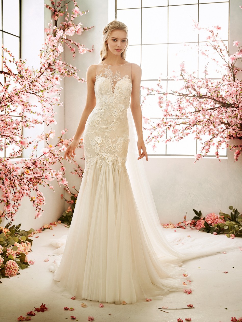 AMARYLLIS