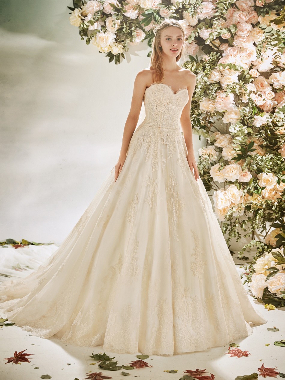 CAMELLIA