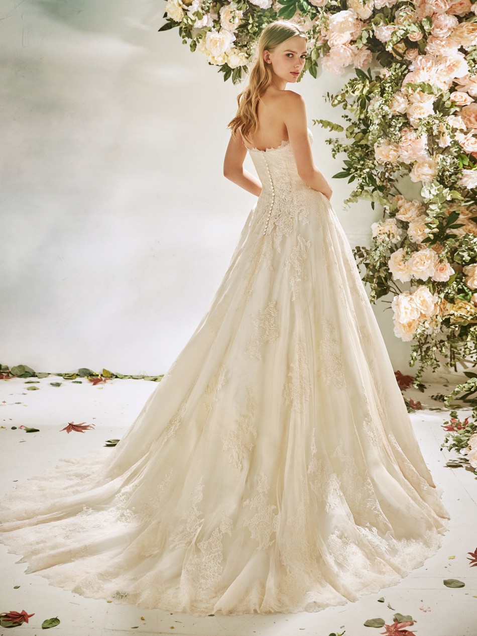 CAMELLIA